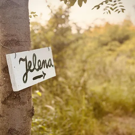 Luksustelt Jelena *