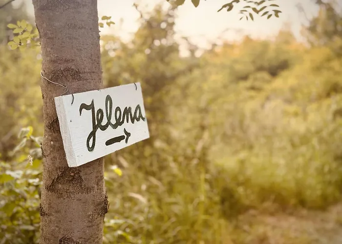 Luxury tent Jelena *